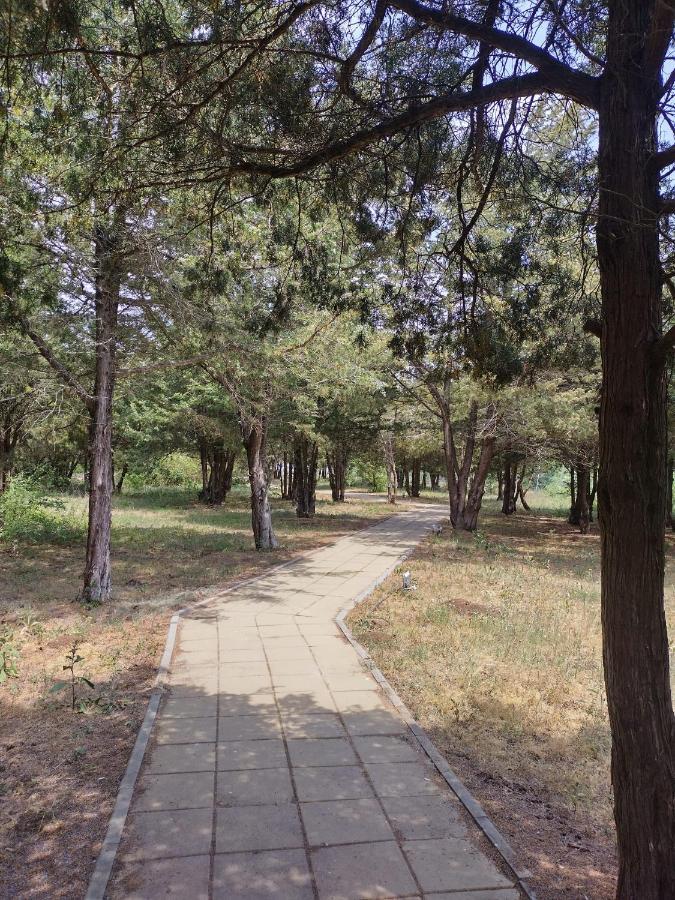Blaxy Resort Stefi Cu Acces La Piscine Gratuit Douăzeci şi Trei August Buitenkant foto
